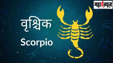 Scorpio, Rashi, Person, New Year, Job, New, Responsibility, Foreigner, Yoga,