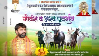 India's largest indigenous cattle and horse exhibition in Pimpri-Chinchwad