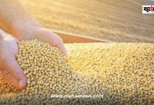 No new extension from the central government for the purchase of soybeans; Marketing Department clarifies