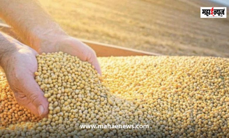 No new extension from the central government for the purchase of soybeans; Marketing Department clarifies