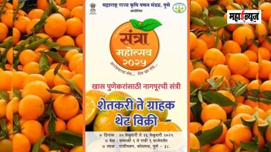 Orange Festival begins in Kothrud from February 20th