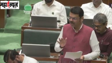 Nagpur, type, well-planned, pattern, Devendra Fadnavis,