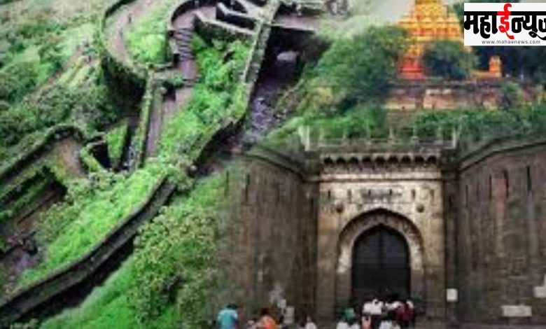 PMP, weekends, tourism, ten, routes, public, holidays, bus services,