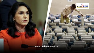 "EVMs Can Be Easily Hacked": U.S. Intelligence Director Tulsi Gabbard's Statement Sparks Global Debate