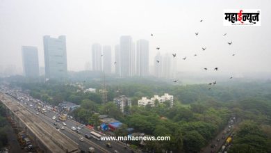 Heavy rains and hailstorm warning in the state