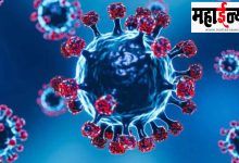 India, COVID, wave, health, experts, big, prediction,