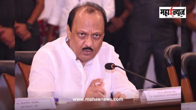 Deputy Chief Minister Ajit Pawar reviews the COVID-19 situation in Pune region