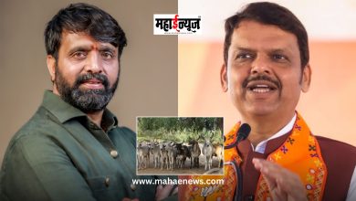 Proposed slaughterhouse reservation in Moshi finally cancelled
