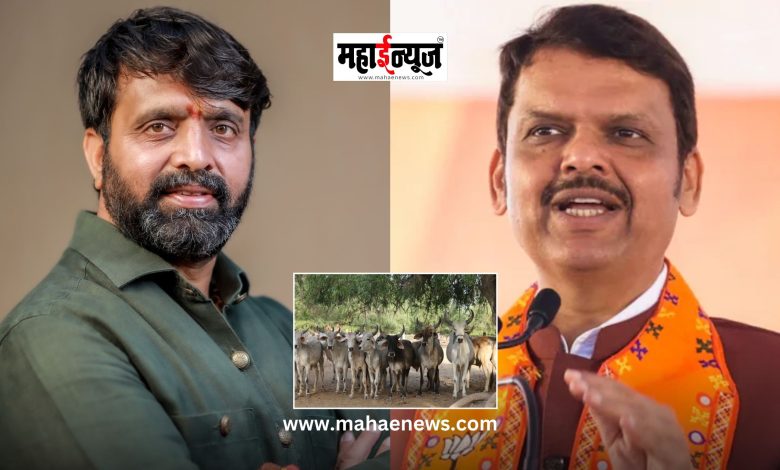 Proposed slaughterhouse reservation in Moshi finally cancelled