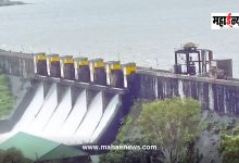 Pawana Dam 50 percent full, relief for Pimpri-Chinchwad city residents
