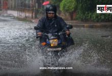 Rain likely to increase in intensity in the state, alert issued for 'these' districts