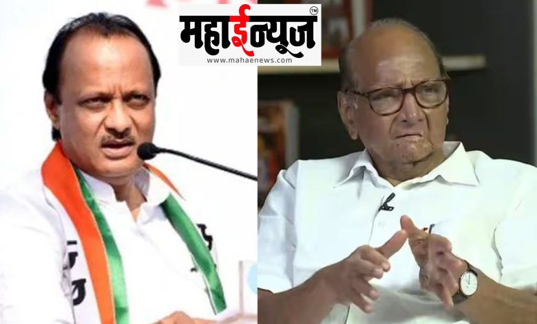 Ajit Pawar, leadership, Nilkantheshwar, panel, victorious, alliance,