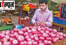 Untimely, rain, onion, producer, farmer, big, loss,