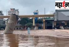 Pune, district, dangerous, small, bridge, decision,