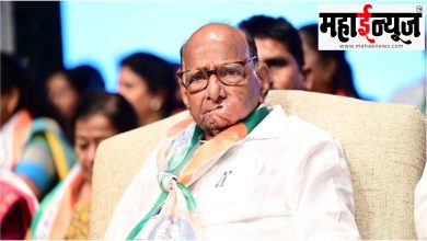 Thackeray, brothers, march, Sharad Pawar, public, support,