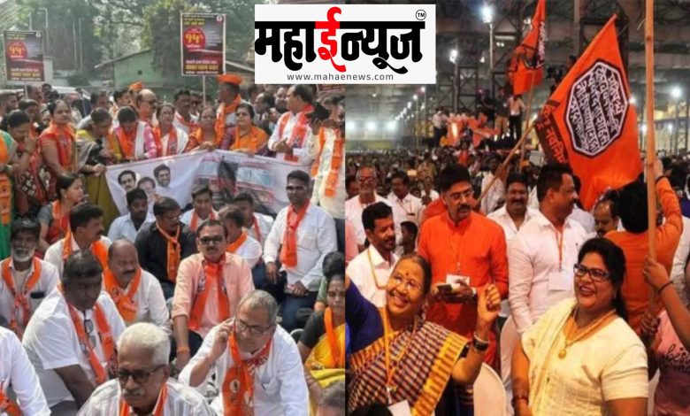 MNS, Thackeray, group, movement,