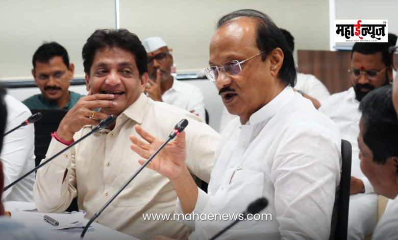 Ajit Pawar said that long-term solutions should be planned considering future problems.