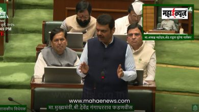 Chief Minister Devendra Fadnavis said that the Public Safety Bill is important for the internal security of the country.