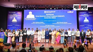 'One District, One Product- 2024' Award; Maharashtra wins gold medal in 'A' category