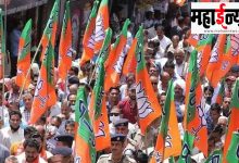 BJP, RSS, society, assurance, 'marketing', less,