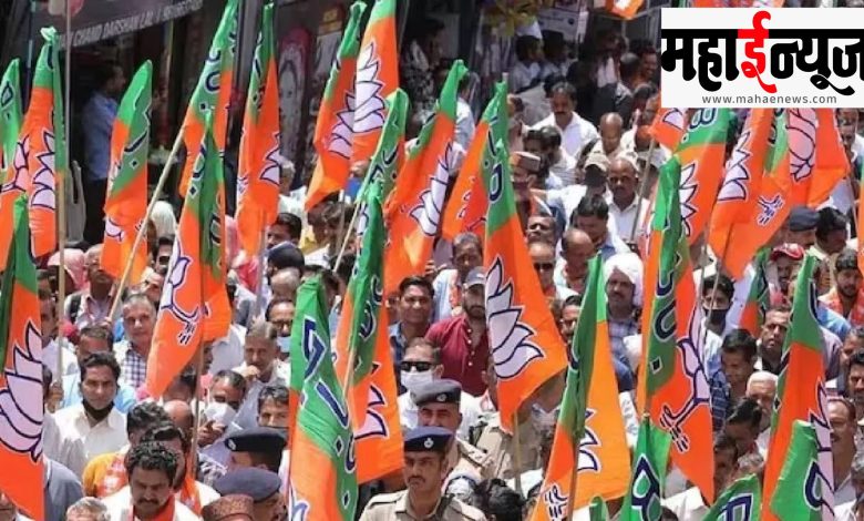 BJP, RSS, society, assurance, 'marketing', less,