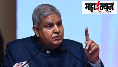 Vice President, resignation, political, strategy,