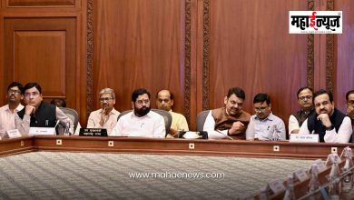 Chief Minister Devendra Fadnavis said that the vision document should reflect the concepts of the common people.