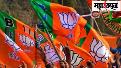 BJP, Pimpri-Chinchwad, city, executive, announced,