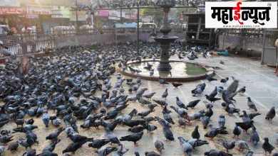 Dovecote, imprisonment, immediately, permanently,