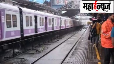 Outsiders, Raj Thackeray, Abusive language,