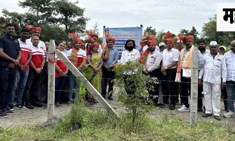 Village, Gargotwadi, water scarcity, solar, plant, relief,