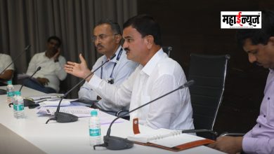 Agriculture Minister Dattatray Bharne reviews development works in Indapur taluka