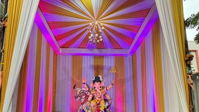 Enthusiasm, discipline, social, commitment, convergence,