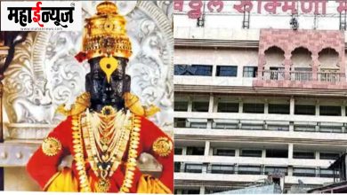 Pandharpur, Viththal, temple, controversial, statement,
