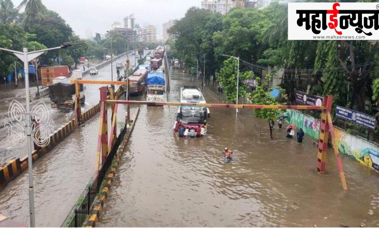 In the state, the rain is likely to increase further.