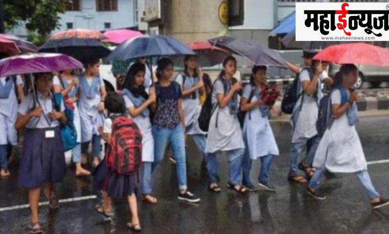Palghar, district, school, holiday, announced,