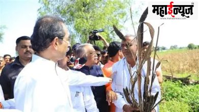 Marathwada, sky, torn, heavy rain, was happening, was not,