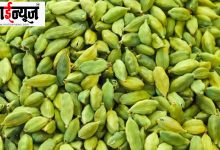 How green cardamom becomes beneficial,