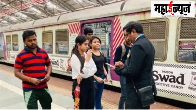 Nanded, department, morning, all day, extensive, ticket, inspection, campaign,