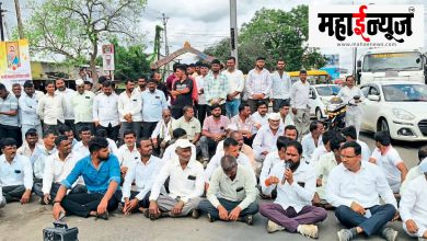 Fertilizer, lavish, price hike, opposition, son-in-law, revolutionary hero, came, movement