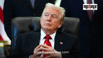 Donald Trump said that people who oppose tariffs are stupid.