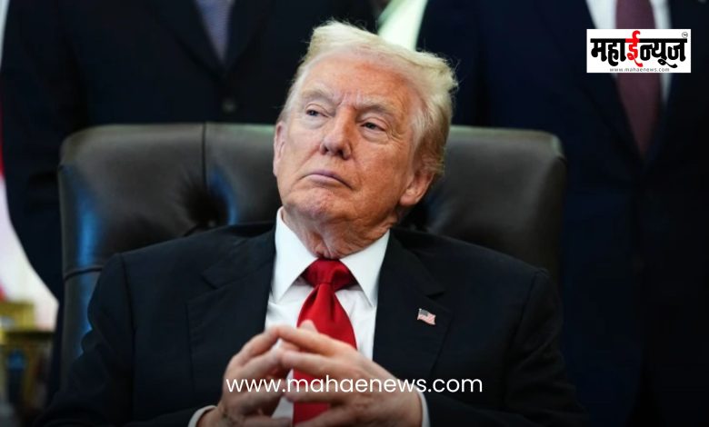 Donald Trump said that people who oppose tariffs are stupid.