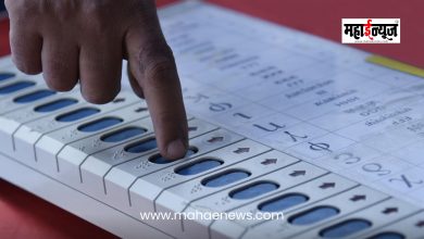 Elections for 246 municipal councils and 42 municipal panchayats announced