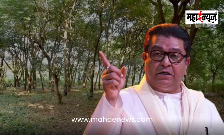 Raj Thackeray said that the government should not indulge in opportunistic sadhus in the name of sadhus.