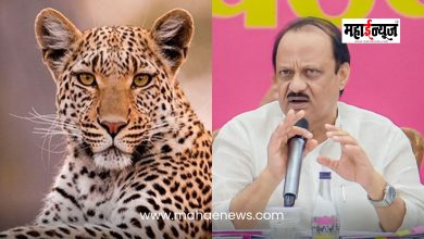 Funds worth Rs 11.25 crore approved on the initiative of Deputy Chief Minister Ajit Pawar