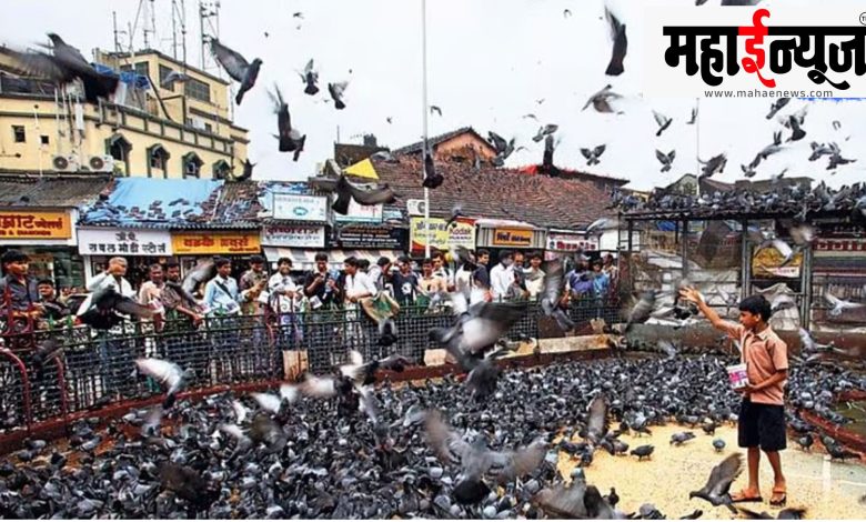Mulund, Kabutarkhan, place, fixed,