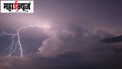 Cold, wave, torrential rain, warning,