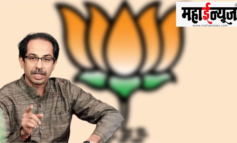 Youth, activists, resignations, Uddhav Thackeray, group, shock,