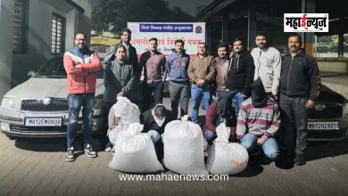 The Pimpri-Chinchwad police team has busted an interstate marijuana trafficking racket.