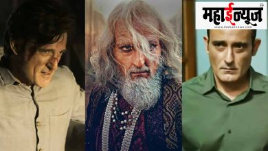 'Dhurandhar', box office, tremendous earnings,